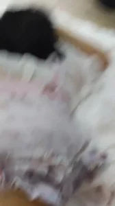 后入漫展小lo娘 - 91视频|91自拍|国产自拍